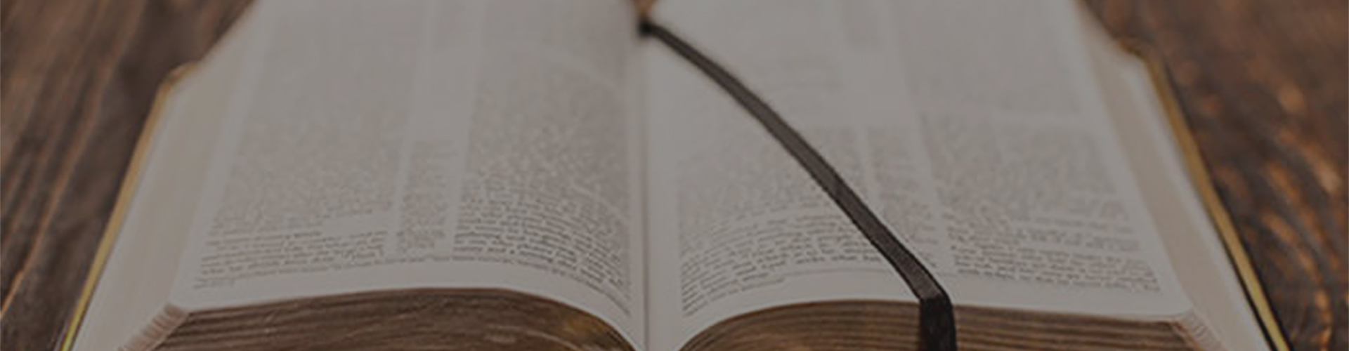 Параллельное чтение Ветхого и Нового Завета