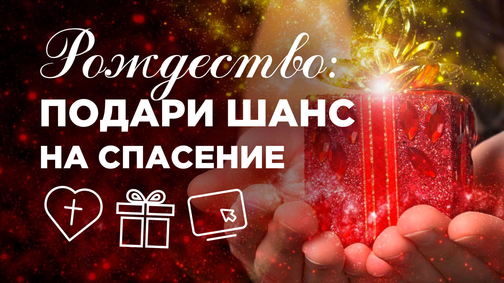 Рождество: подари шанс на спасение