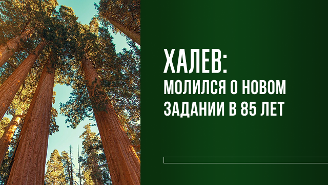 Халев: молился о новом задании в 85 лет