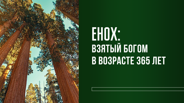 Измени свой мир