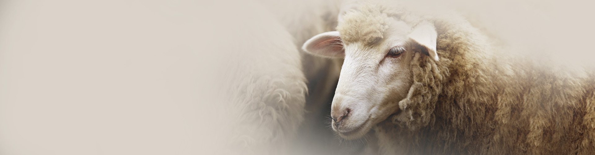 Псалом 22: Господь – Пастырь мой