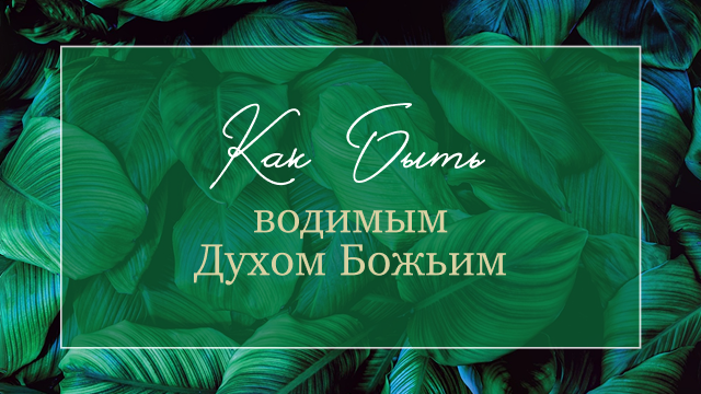 Измени свой мир