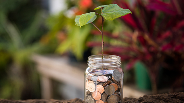 Как возделывать и хранить наш финансовый сад 