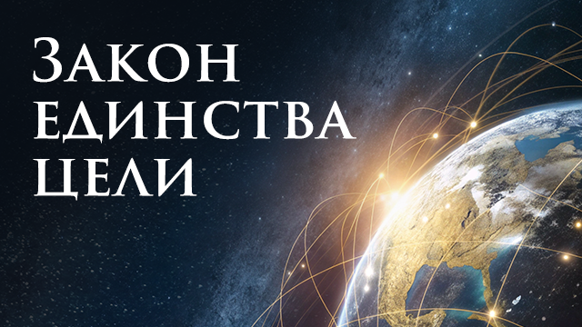 Закон единства цели