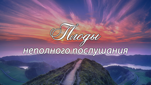 Программы Рика Реннера