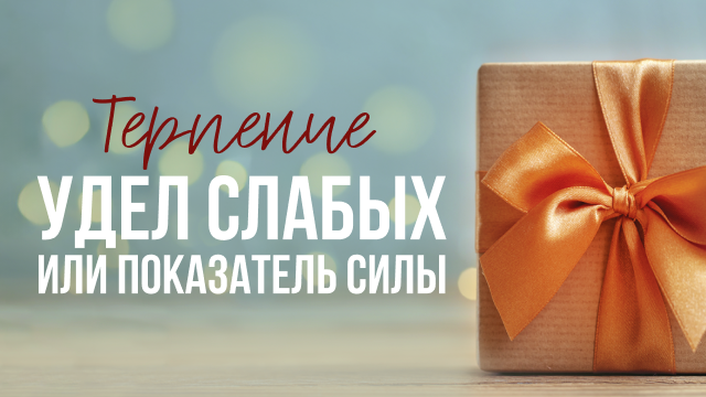 Программы Рика Реннера