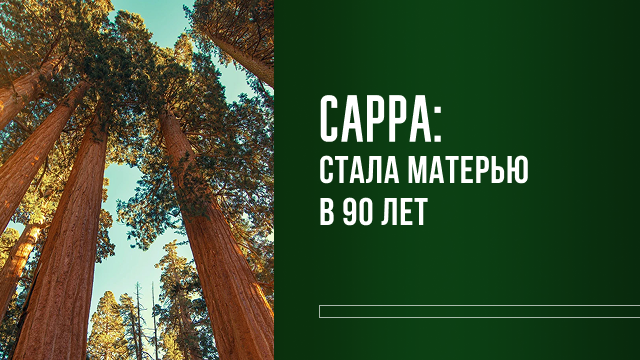 Измени свой мир