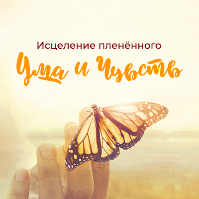 Аудио-версия программы