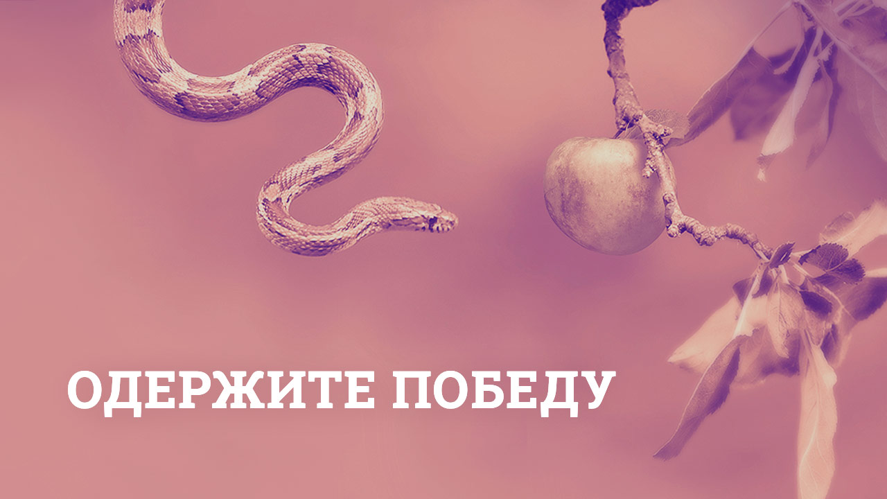 Одержите победу