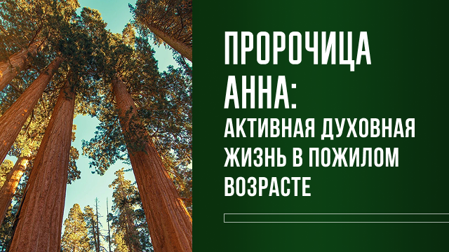 Пророчица Анна: активная духовная жизнь в пожилом возрасте 