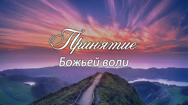 Программы Рика Реннера