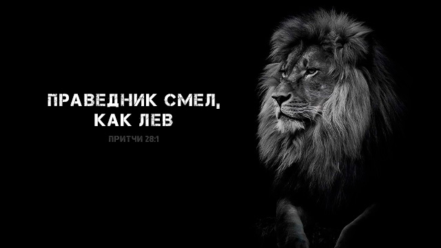 Февраль 2026. Обои для телефона