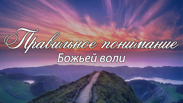 Программы Рика Реннера