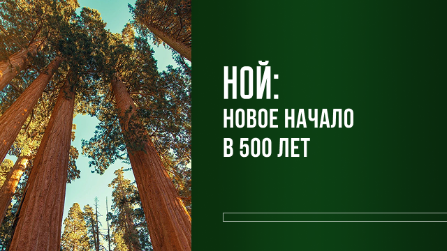 Ной: новое начало в 500 лет 