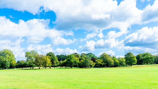 Что общего между чтением Библии и облаками в небе?