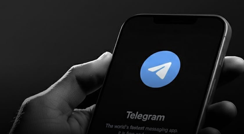 Мы в Telegram/Max
