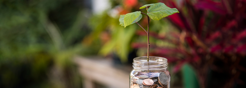 Как возделывать и хранить наш финансовый сад