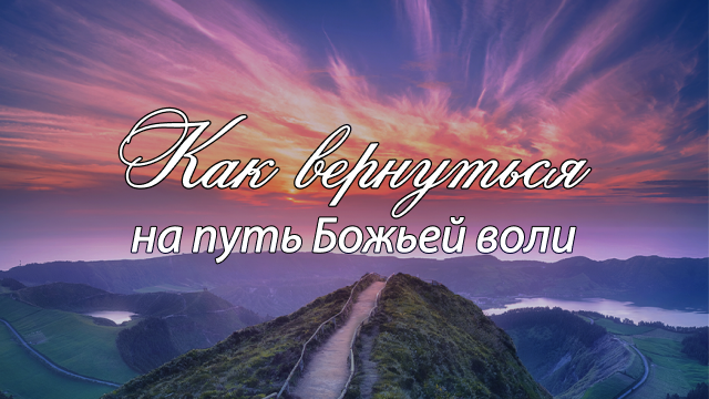 Программы Рика Реннера