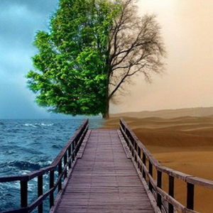04_2016_trees.jpg 04_2016_trees.jpg