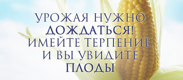 01_2016 citata.jpg 01_2016 citata.jpg